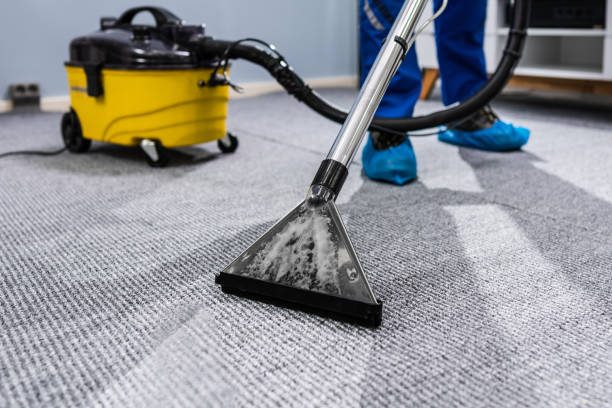 Professional carpet vacuuming