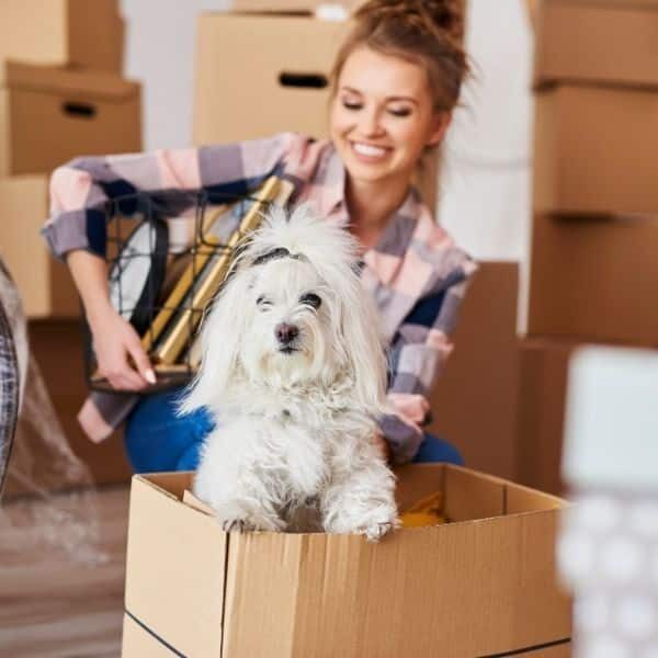 Move-In / Move-Out Cleaning in Wilmington, NC
